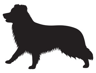 BODER COLLIE DOG SILHOUETTE