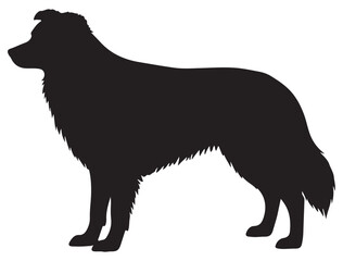 BODER COLLIE DOG SILHOUETTE