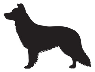 BODER COLLIE DOG SILHOUETTE