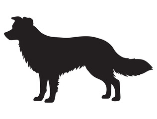 BODER COLLIE DOG SILHOUETTE