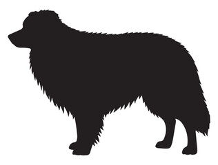 BODER COLLIE DOG SILHOUETTE