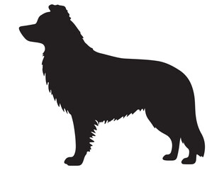 BODER COLLIE DOG SILHOUETTE
