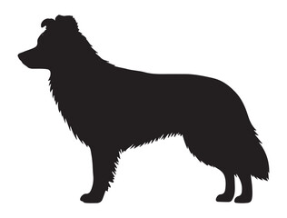 BODER COLLIE DOG SILHOUETTE