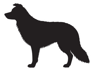 BODER COLLIE DOG SILHOUETTE