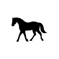 Elegant black silhouette of a walking horse.
