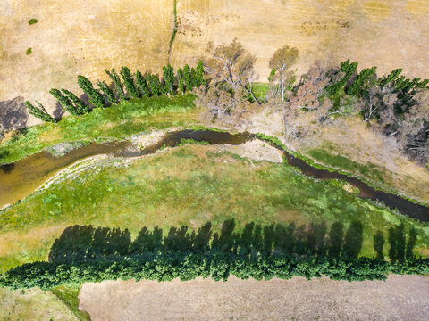Aerial view of a river with green grass and trees lining its banks