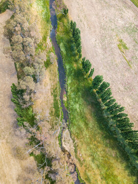 Aerial view of a river with green grass and trees lining its banks