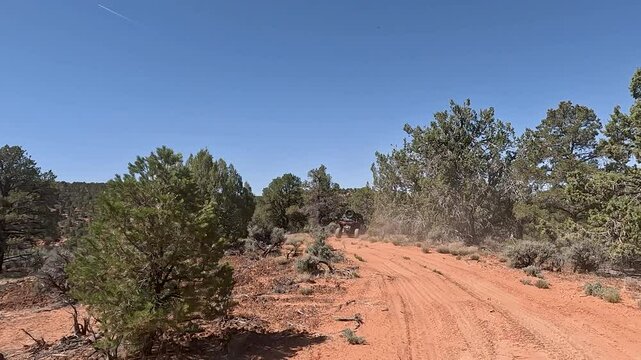 Following Driving mountain desert juniper tree forest Utah. Southern Utah off road recreation nature and exploring. Desert mountain canyon river valley trail ride adventure area. Remote wilderness.