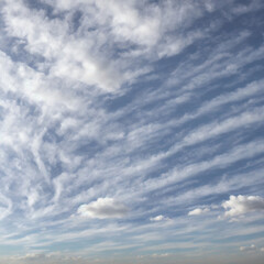 Obraz premium Veil Across the Sky: Cirrostratus Clouds