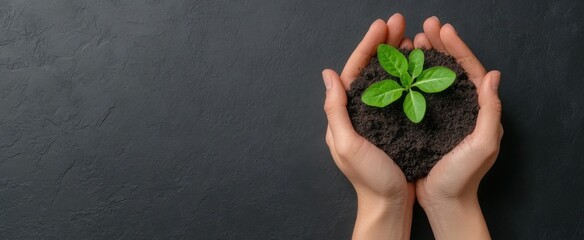 Hands holding black soil with a young plant on it, top view on a dark background, a banner for World Environment Day concept, with copy space, 