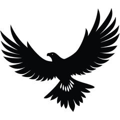 Obraz premium Eagle icons 