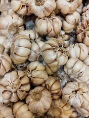 Organic Dried Garlic Bulbs Close Up – Fresh Raw Garlic for Cooking and Health Benefits