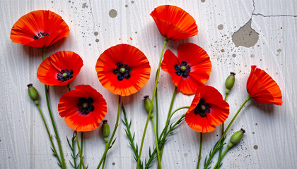Bold flat lay of poppies on a concrete surface texture, with fiery red tones