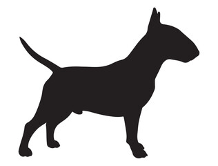 BULL TERRIER DOG SILHOUETTE