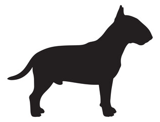 BULL TERRIER DOG SILHOUETTE