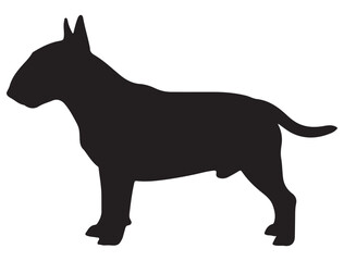 BULL TERRIER DOG SILHOUETTE