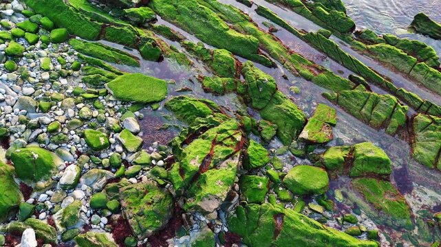 Roches de mousse verte et eau turquoise - Contrastes min&eacute;raux &agrave; Hendaye