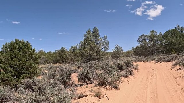Driving off road trail juniper tree forest Utah POV 4K. Off road trail riding 4x4 all terrain vehicle sport and recreation. Dry arid landscape. Rocky terrain, mountain cliff and canyon valley.