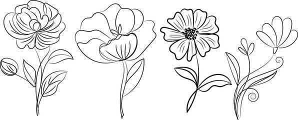 A floral vector illustration features a set of tulip flowers, a beautiful nature-inspired design