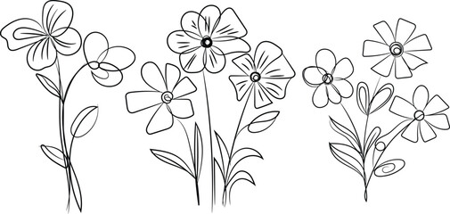 White flowers vector illustration on a white floral background suggests a spring nature design