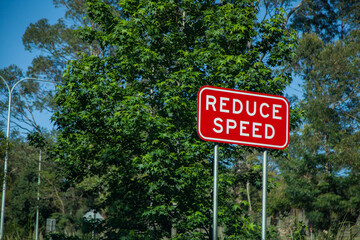 Red reduce speed sign with tree in background