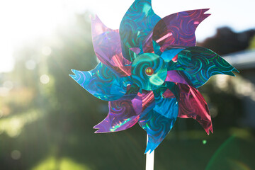 Pink and blue pinwheel with sunlight
