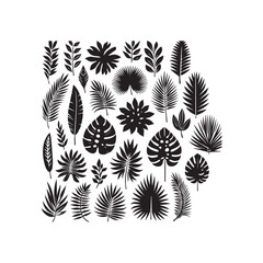 ropical leaves, palm leaves silhouettes, diverse collection, black shapes