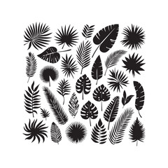 ropical leaves, palm leaves silhouettes, diverse collection, black shapes