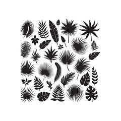 ropical leaves, palm leaves silhouettes, diverse collection, black shapes