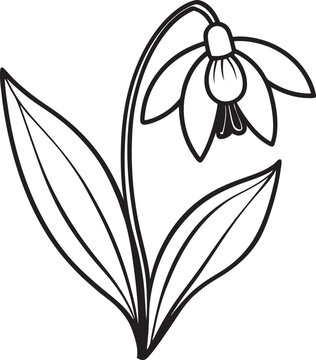 black and white snowdrop flower drawing clip art preview