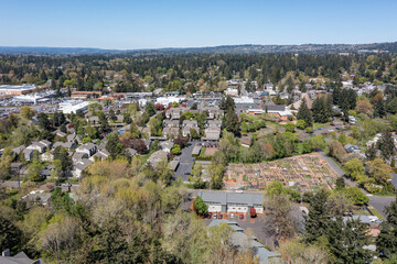 Fototapeta premium Aerial drone photo of Beaverton and West Hills residential neighborhoods, nice houses, green trees, streets, houses during spring season under a clear blue sky