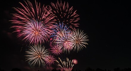 Colorful Fireworks Exploding in Dark Night Sky Celebration