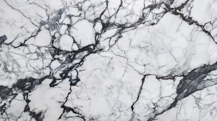 White marble texture with flowing black and gray veins creating a modern, elegant, and natural abstract design