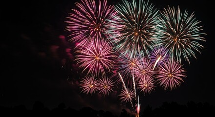 Colorful Fireworks Exploding in Night Sky Celebration