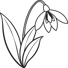 Snowdrop outline vector