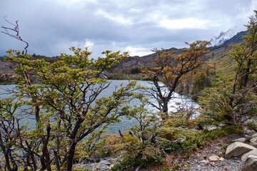 amazing beautiful patagonia nature in summer