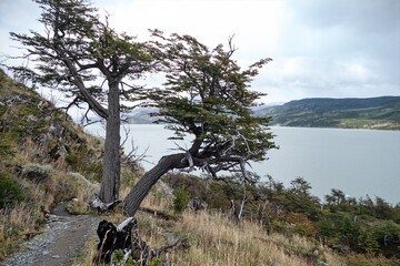amazing beautiful patagonia nature in summer