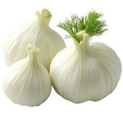 Obraz premium Fresh garlic bulbs close up for food photography