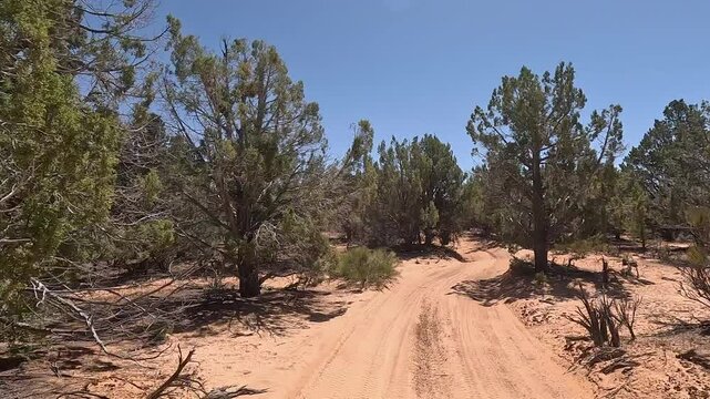 Driving sandy trail off road juniper tree forest Utah fast 4K. Off road trail riding 4x4 all terrain vehicle sport and recreation. Dry arid landscape. Rocky terrain, mountain cliff and canyon valley.