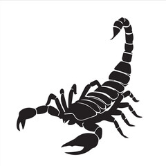 scorpion in vector art