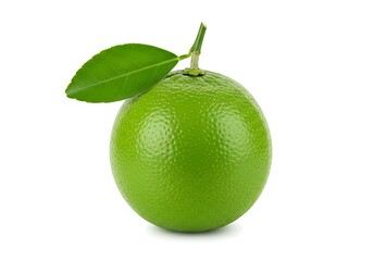 A single lime with a leaf and stem on a white background in a studio shot close up and centered view