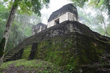 Temple I rising above dense jungle canopy in morning mist