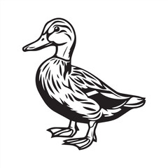 female duck icon logo in vector art