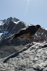beautiful amazing glacier landscape in los glaciares national patk patagonia