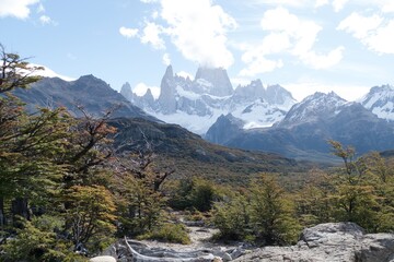 beautiful amazing patagonia nature in south america
