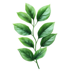 Green leaf branch displaying natural beauty in a bright setting