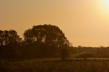 misty morning sunrise