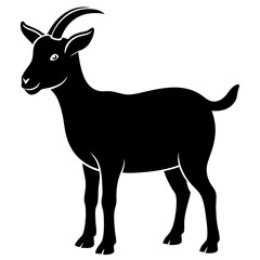 Obraz premium Kiko breed goat black silhouette