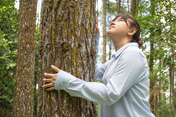 A Happy young asian woman wearing a long-sleeve collared shirt is hugging large pine tree trunk in a lush pine forest.