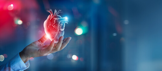 Cardiovascular diseases concept, Hand of doctor holding colorful heart illness abstract, Medical technology and healthcare treatment to diagnose heart disorder for wellbeing, healthy lifestyle.
